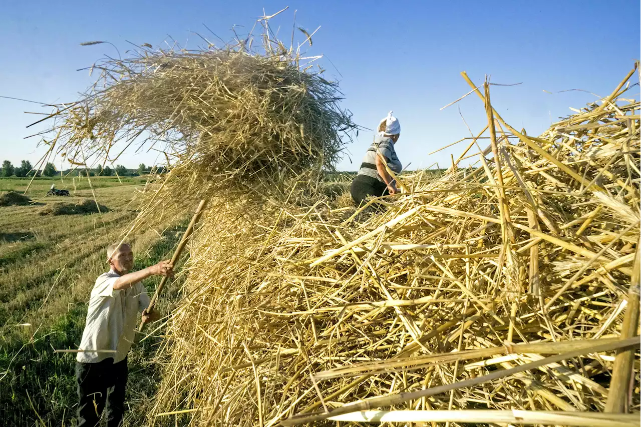 Russia's Ukraine War Boosts Food Prices in U.S., Vexing Farmers About Planting More