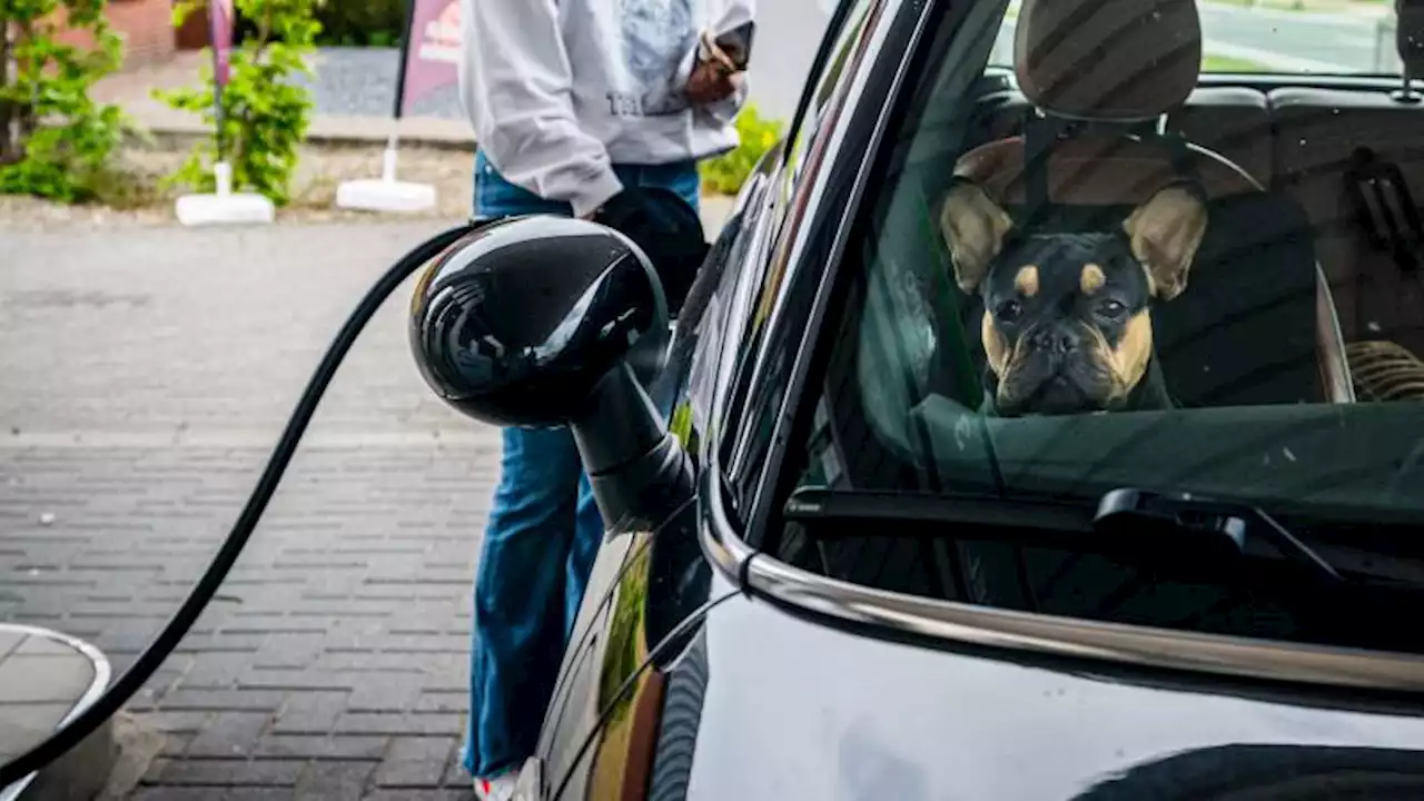 Automobilist vult tank minder vol, kiest pomp weg van de snelweg én rijdt minder