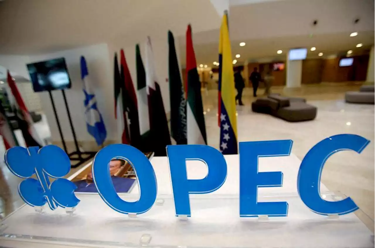 EXCLUSIVE OPEC officials tell EU of unease about proposed ban on Russian oil, sources say