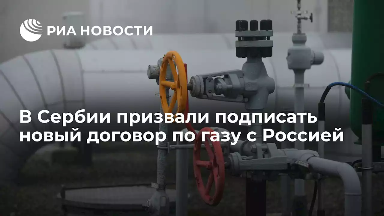 В Сербии призвали подписать новый договор по газу с Россией