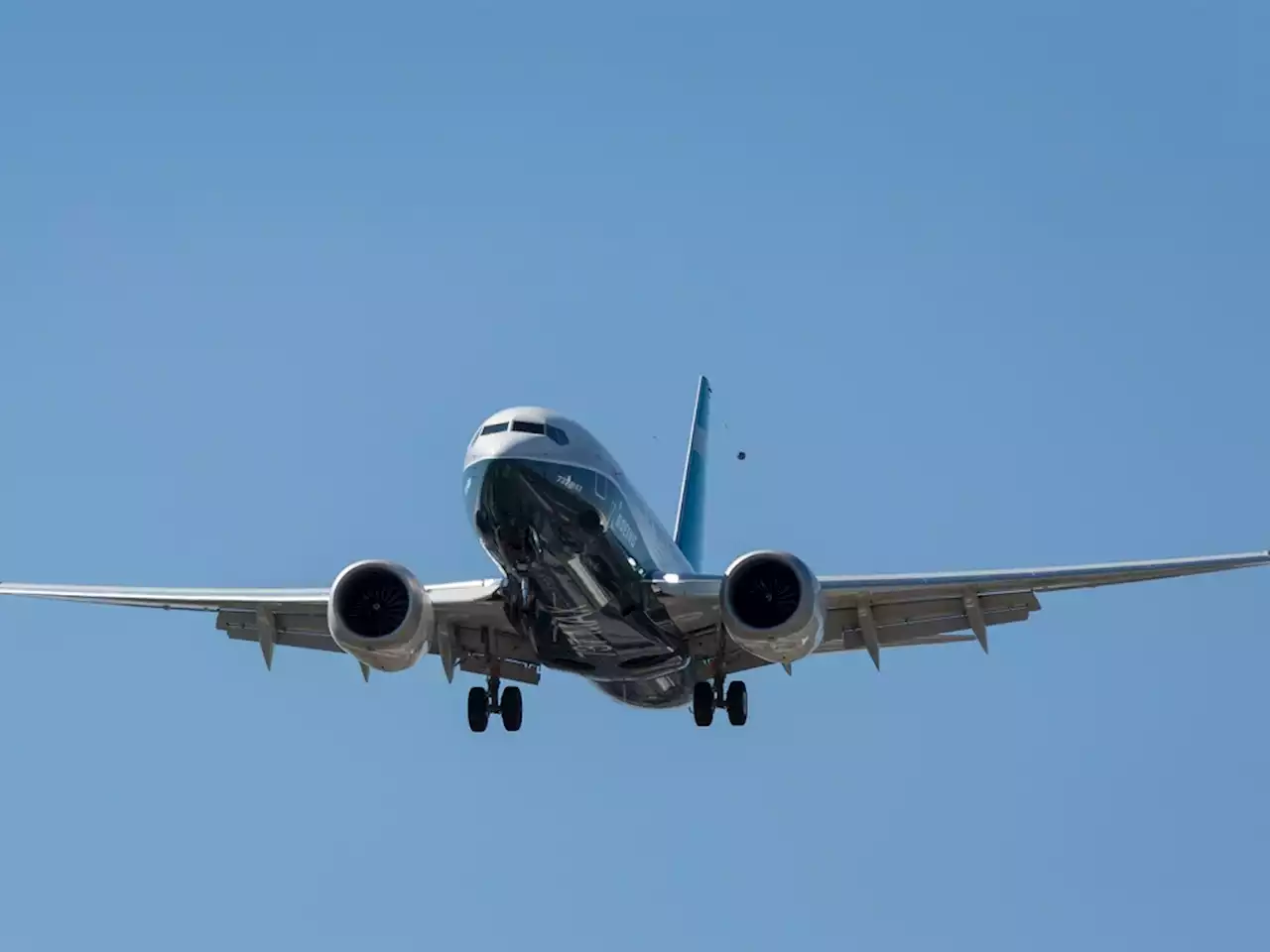 An Entire Plane Sang 'Baby Shark' to a Crying Toddler & This is the Type of Energy We Need When Traveling