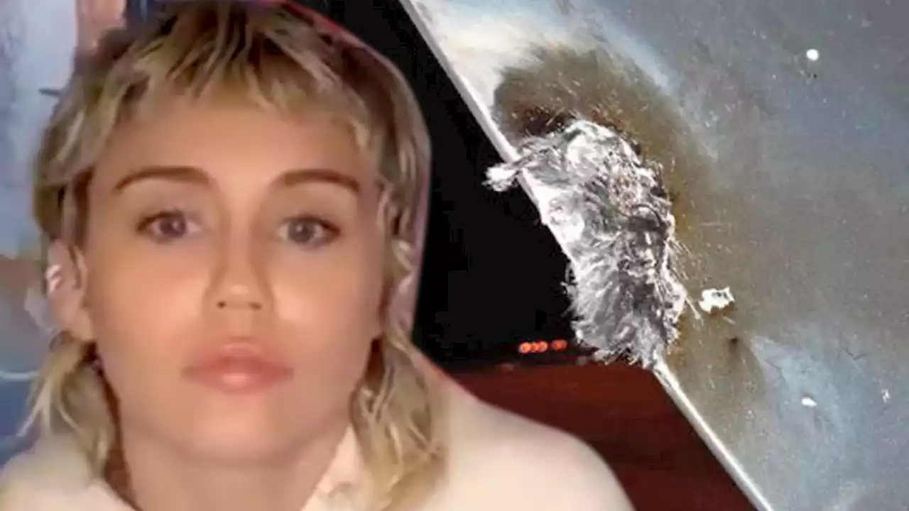 Miley Cyrus' Plane Struck and Damaged By Lightning, Makes Emergency Landing