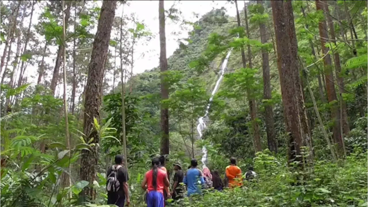 Curug Batur, Air Terjun Mengiris Tebing Bukit Mempesona di Purbalingga