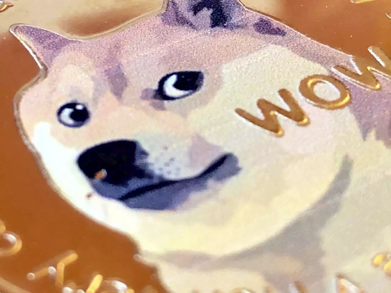 $40 Million Worth of Dogecoin Held by Top BSC Whales - DOGE Loses to MATIC: Details