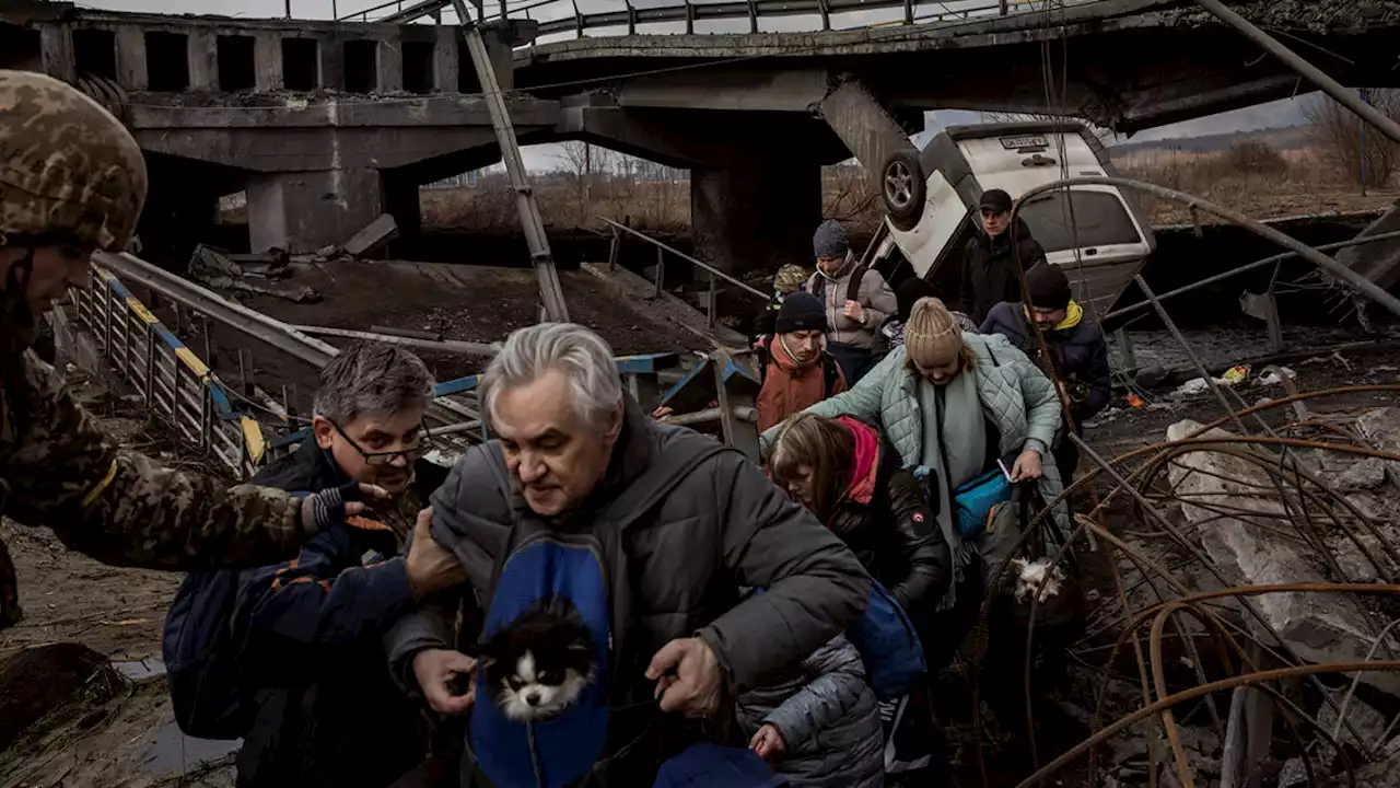 'In a few days, everything changed': A photojournalist documents life on the frontline in Ukraine