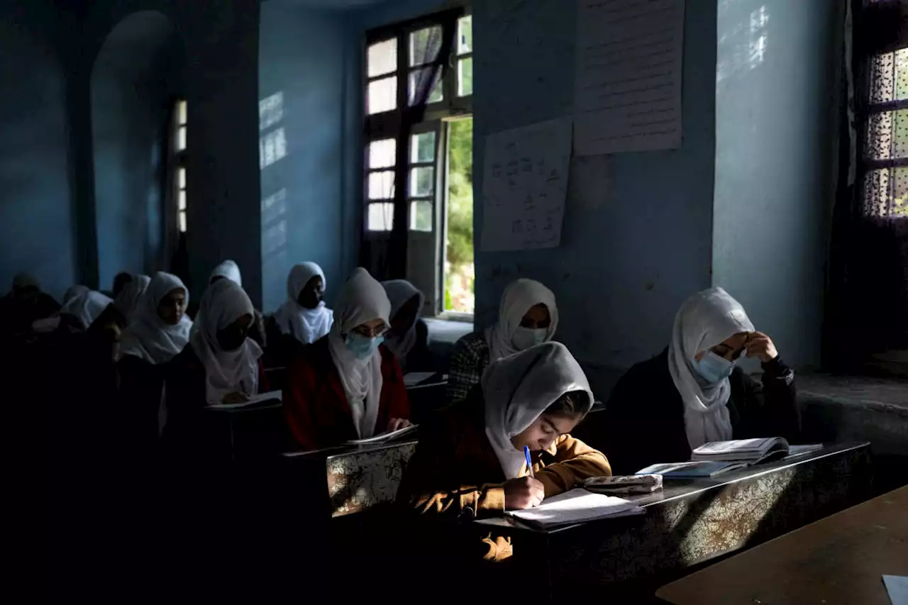 Many baffled by Taliban reneging pledge on girls' education