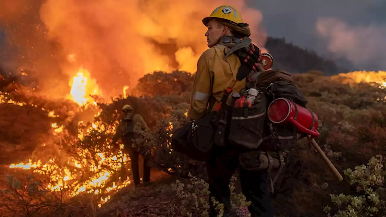 The world has less than 10 years to avert climate change catastrophe, report finds