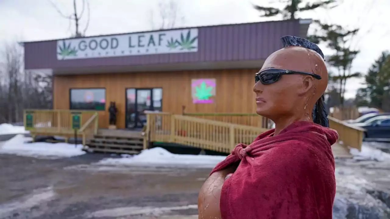 As NY preps pot market, sales grow on Native American land