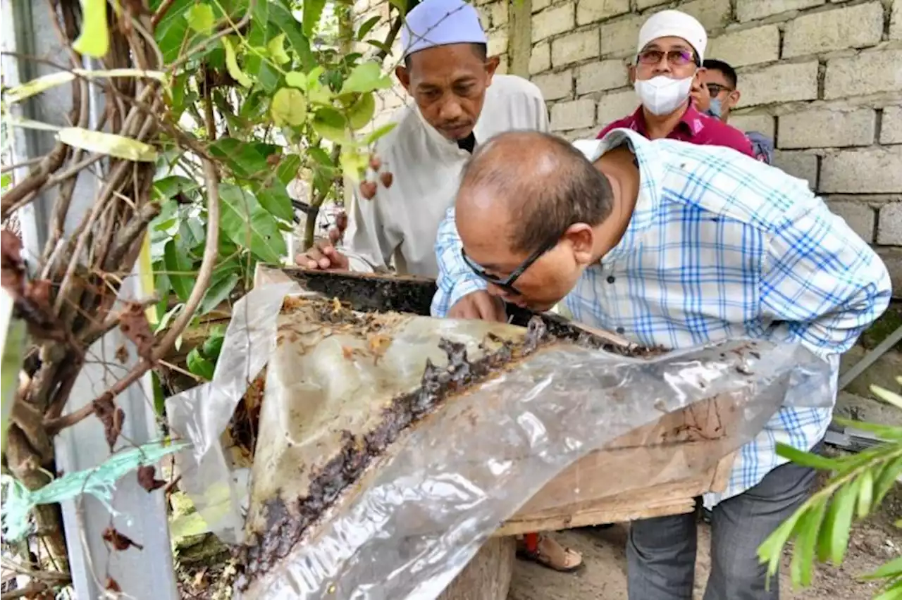 Kemenkop dukung usaha ternak lebah madu kalulut Ponpes Mihbahul Munir