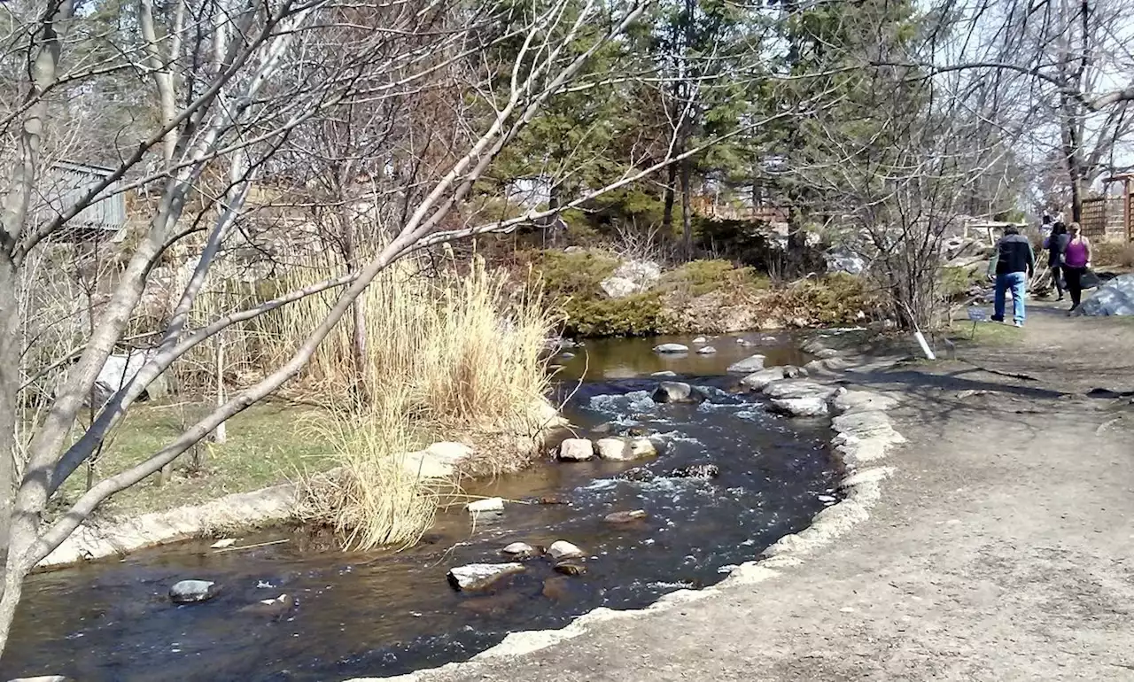 Birds, beavers, muskrats and turtles: At Lake Katherine, signs of spring are ‘showing up out of nowhere’