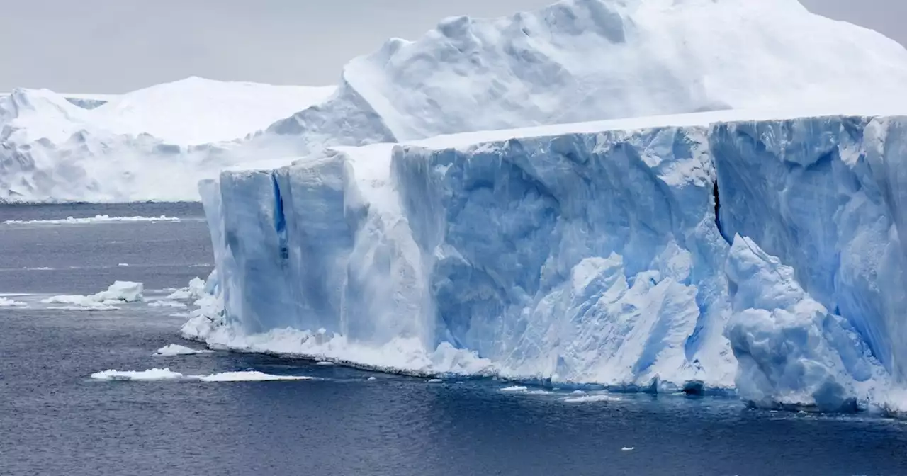 'Wake-Up Call': Antarctic Ice Shelf the Size of Los Angeles Has Collapsed