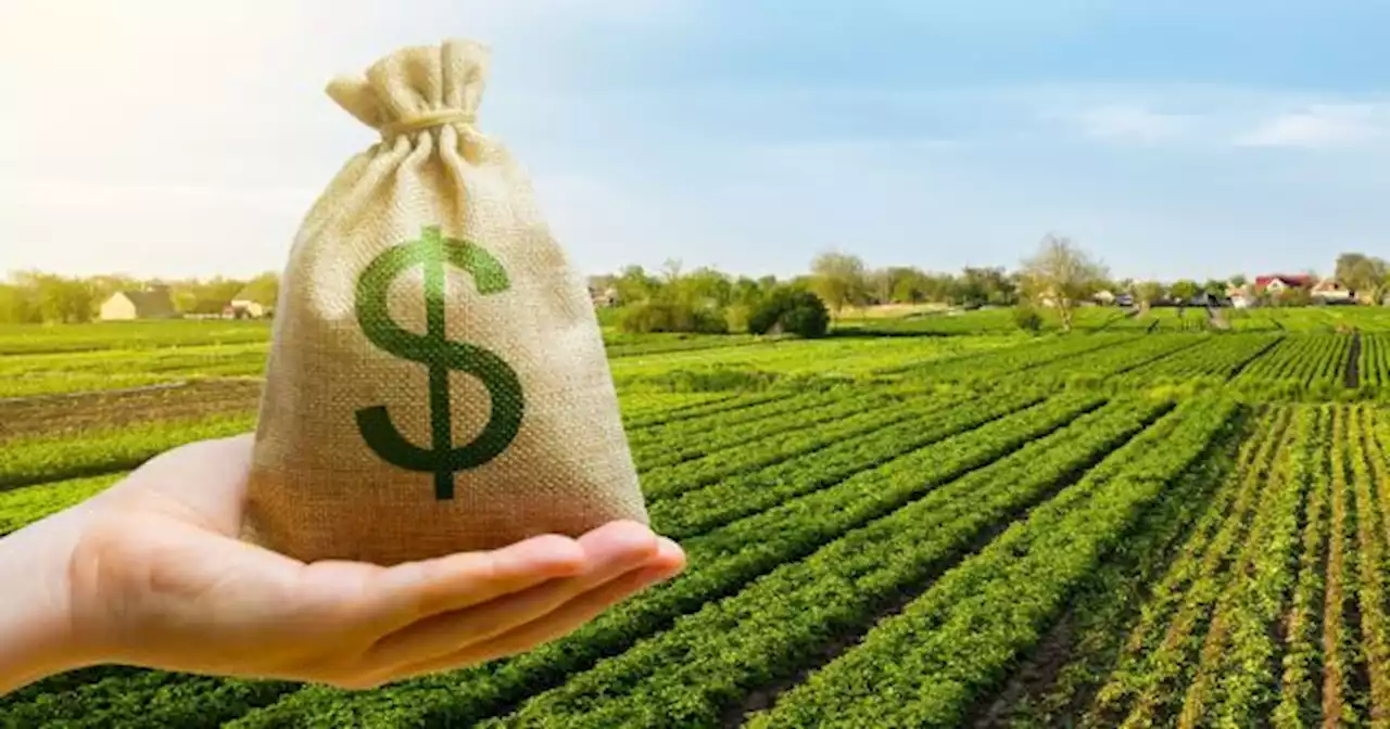 Retenciones: el agro le paga al Gobierno casi $65 de cada $100 que produce el campo