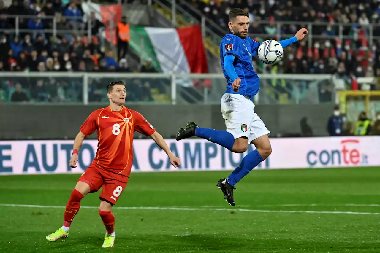 Fußball - Italien fliegt bei WM-Qualifikation raus