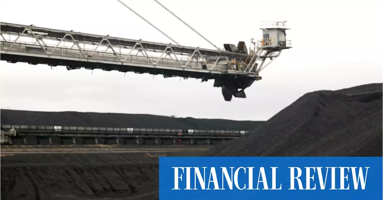 When ‘fake coal’ alarm bells rang for EY auditors