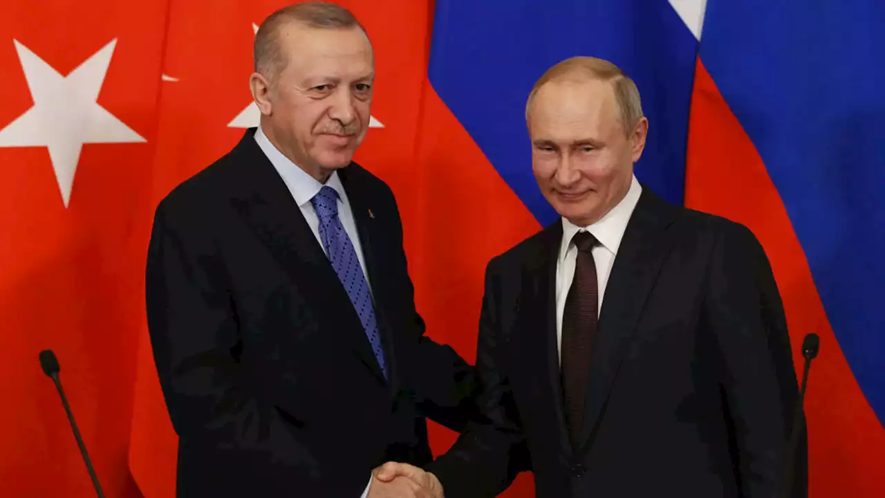 Erdoğan: Ukraine and Russia nearing 'consensus' on 4 of 6 key issues to ending the war