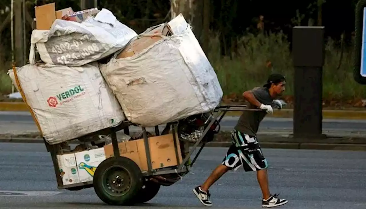 Crece la cantidad de cartoneros en calles: ganan $2.500 por día