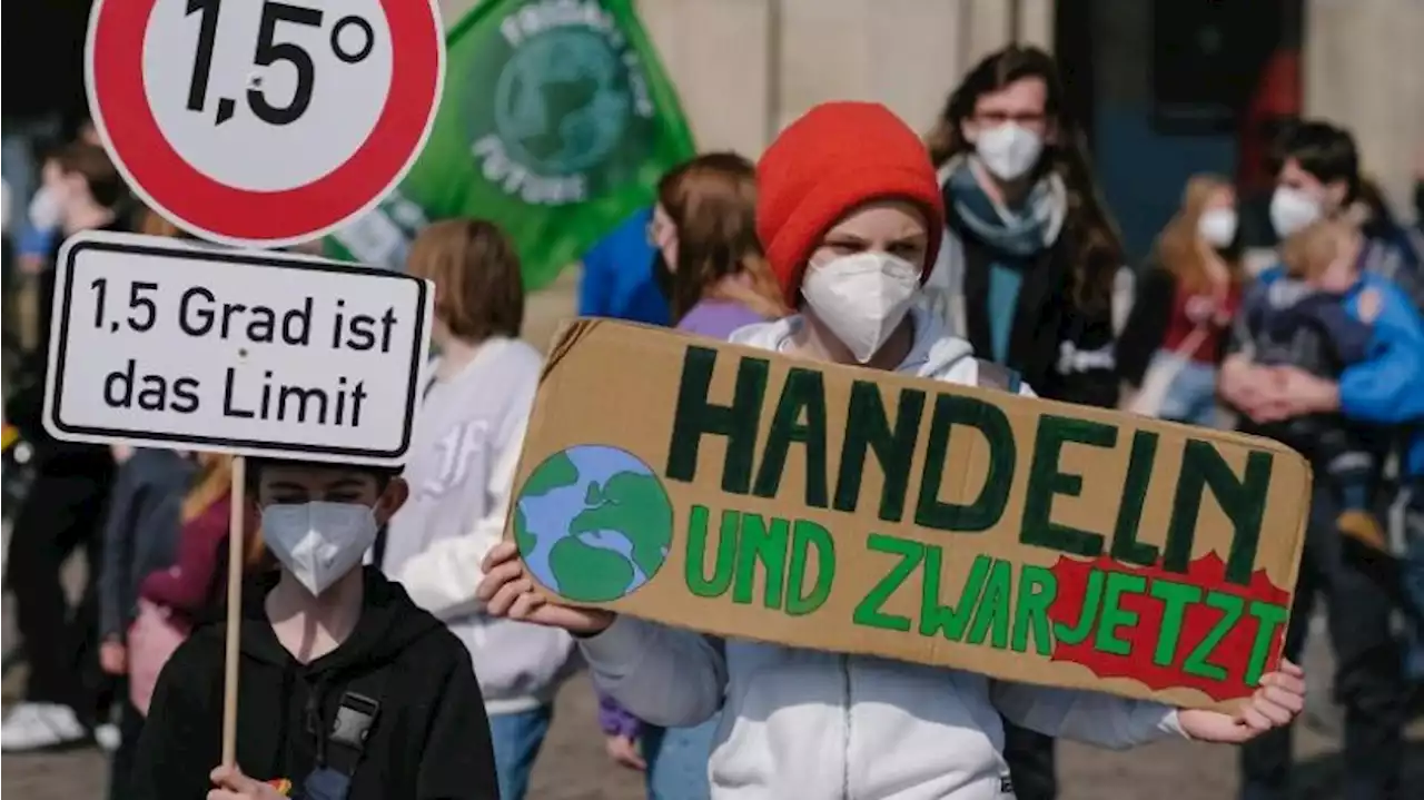 Zehntausend junge Menschen bei Demo: Fridays for Future