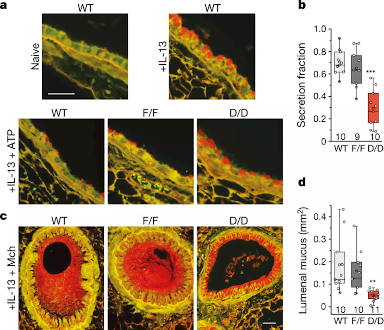 Inhibition of calcium-triggered secretion by hydrocarbon-stapled peptides - Nature