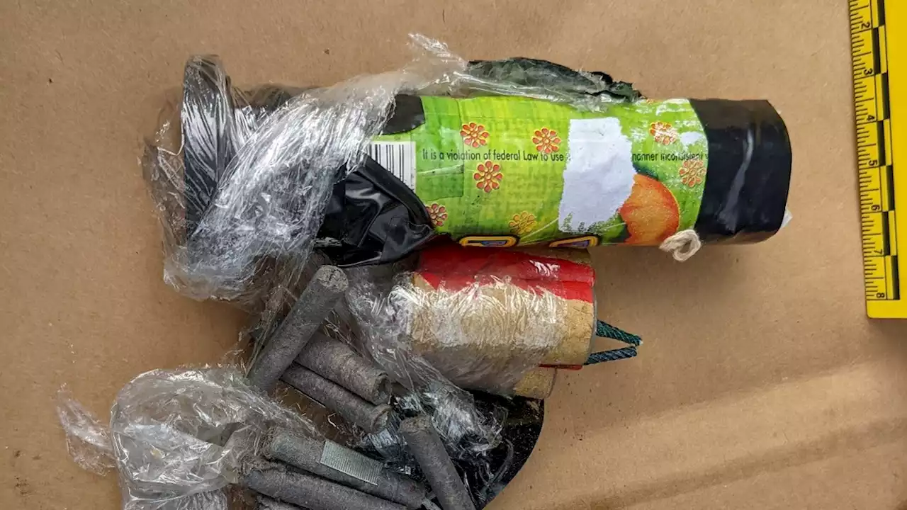 Unsealed Docs Reveal Teens' Alleged Plot for Spring Break Killings at Chicago Mosques, Synagogues