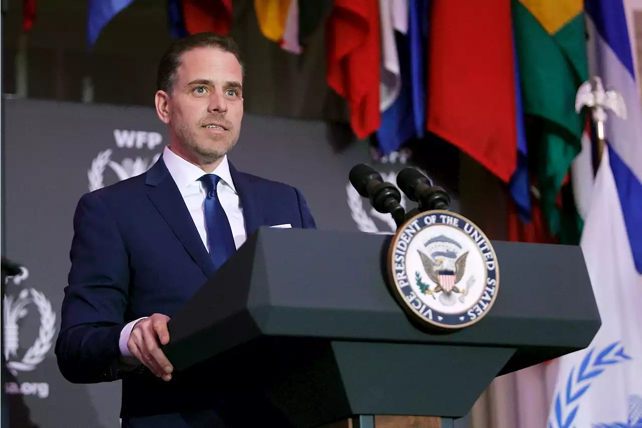 Hunter Biden accused by Russia of helping finance Ukraine biolabs