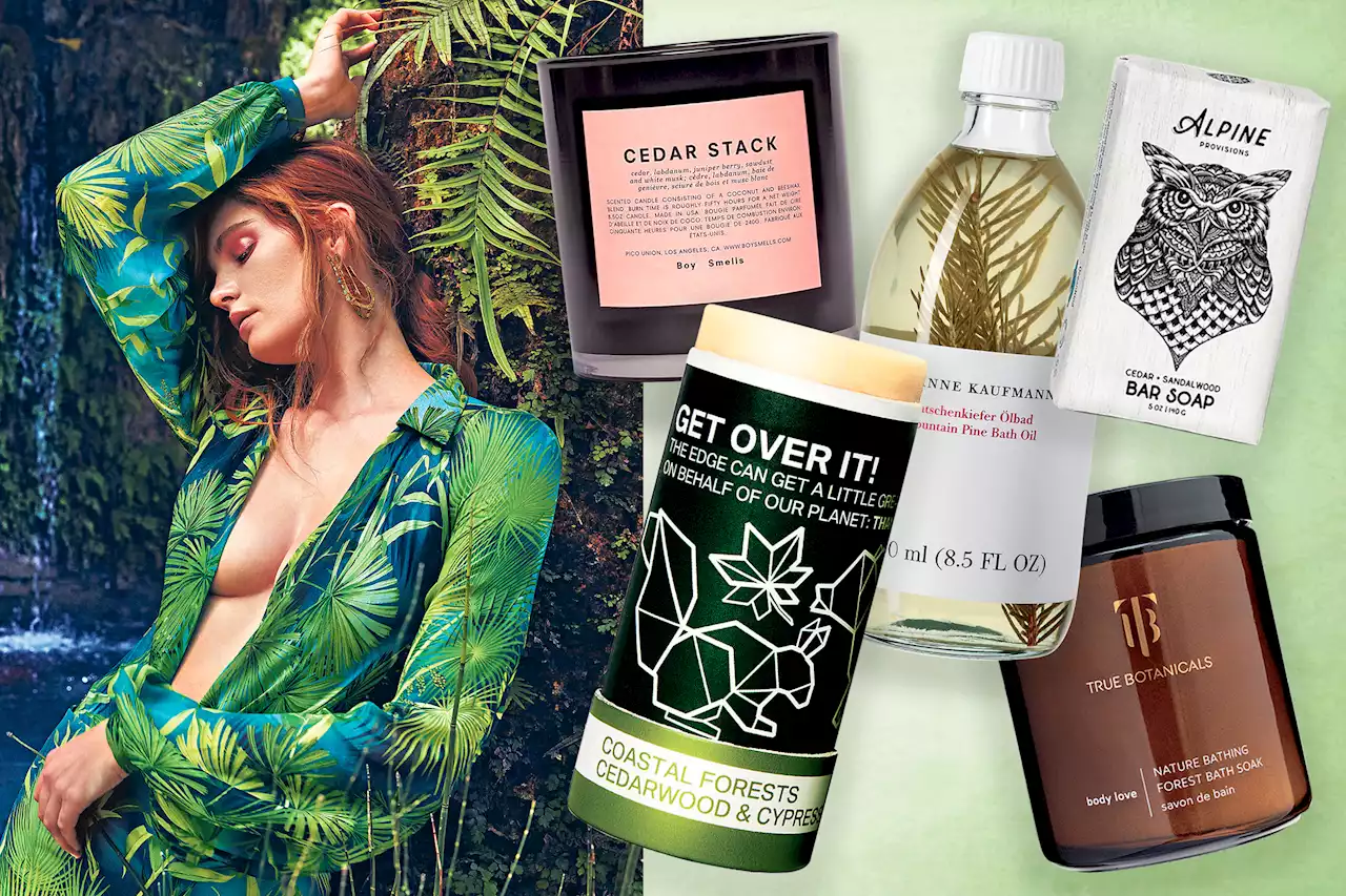 Earthy new beauty products trace their roots to the forest