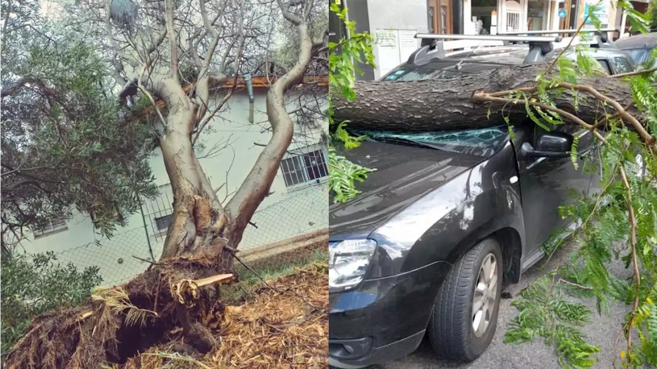 El temporal no da tregua: cortes de luz y destrozos en varias localidades de Argentina