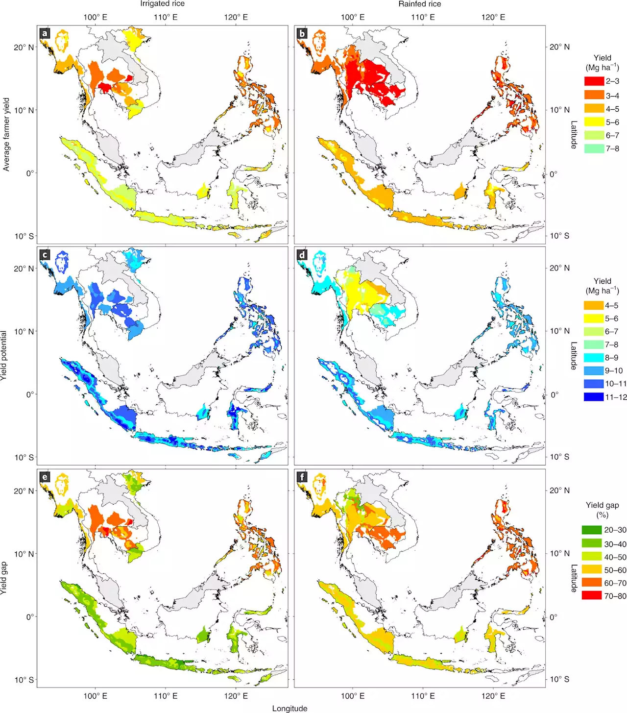 Southeast Asia must close yield gap to remain a major rice bowl