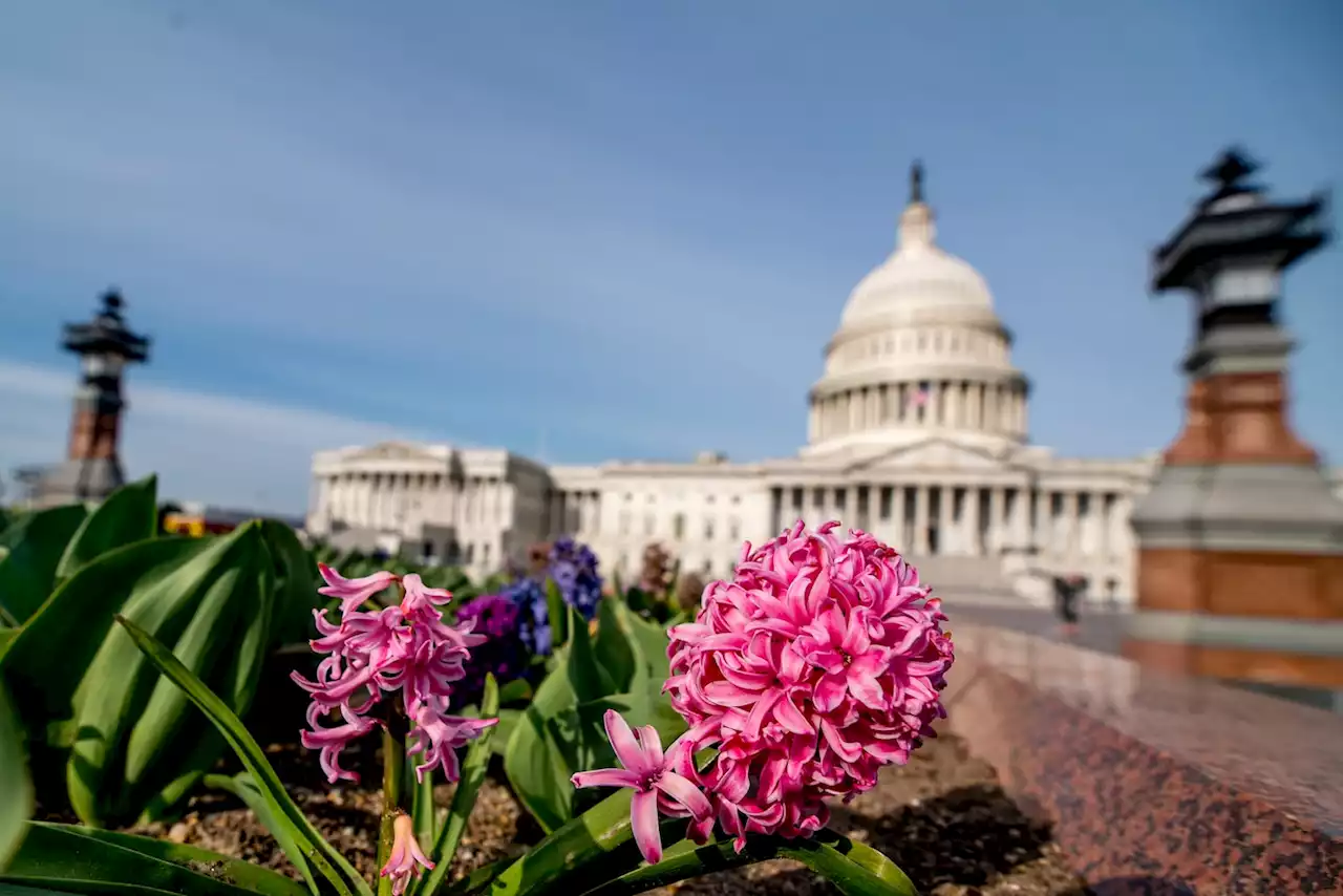 D.C.-area forecast: Sunnier today, with a big cooldown on the way