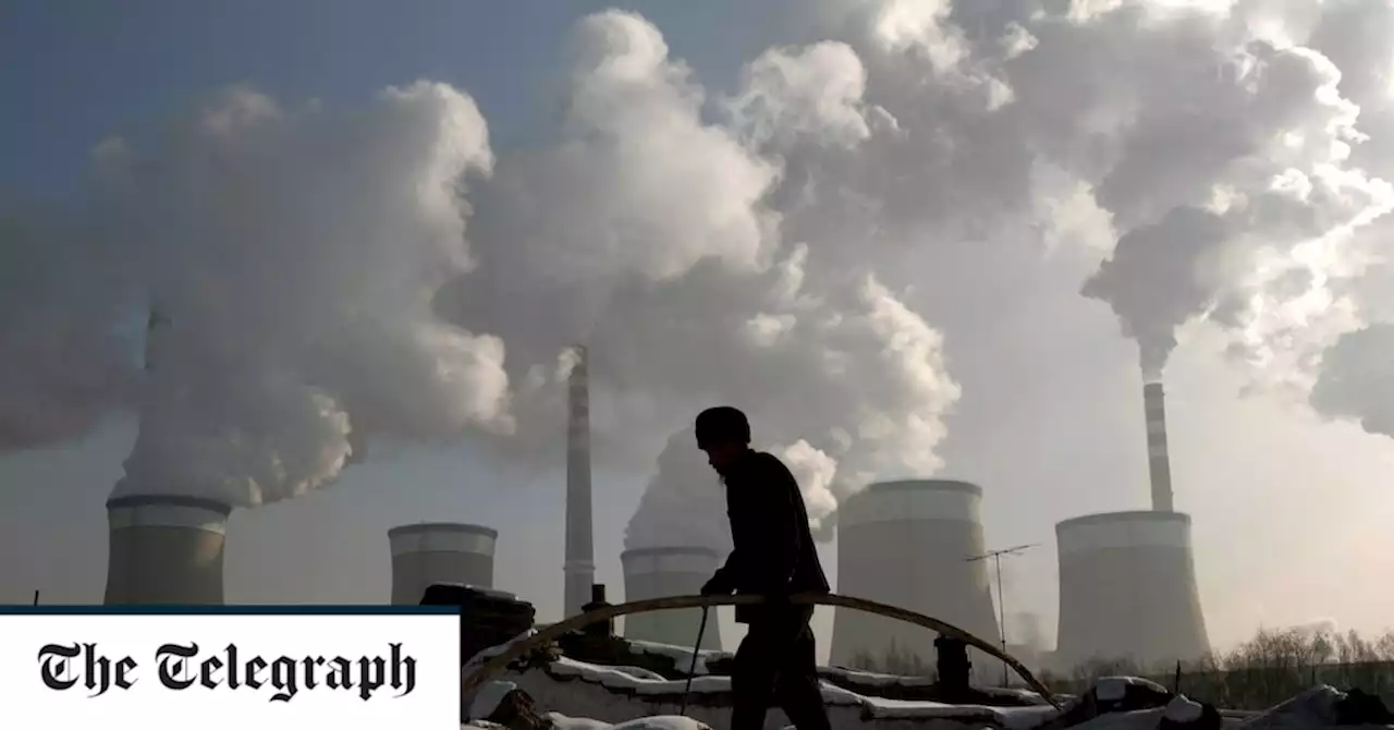 China's coal revival may soon slash our energy bills, but at a wicked ecological cost