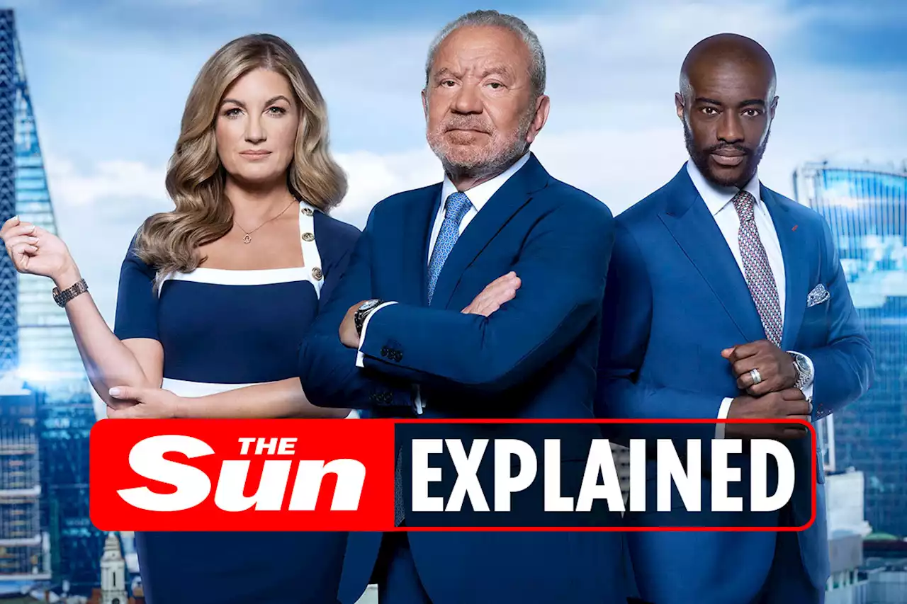 Find out what The Apprentice winner gets