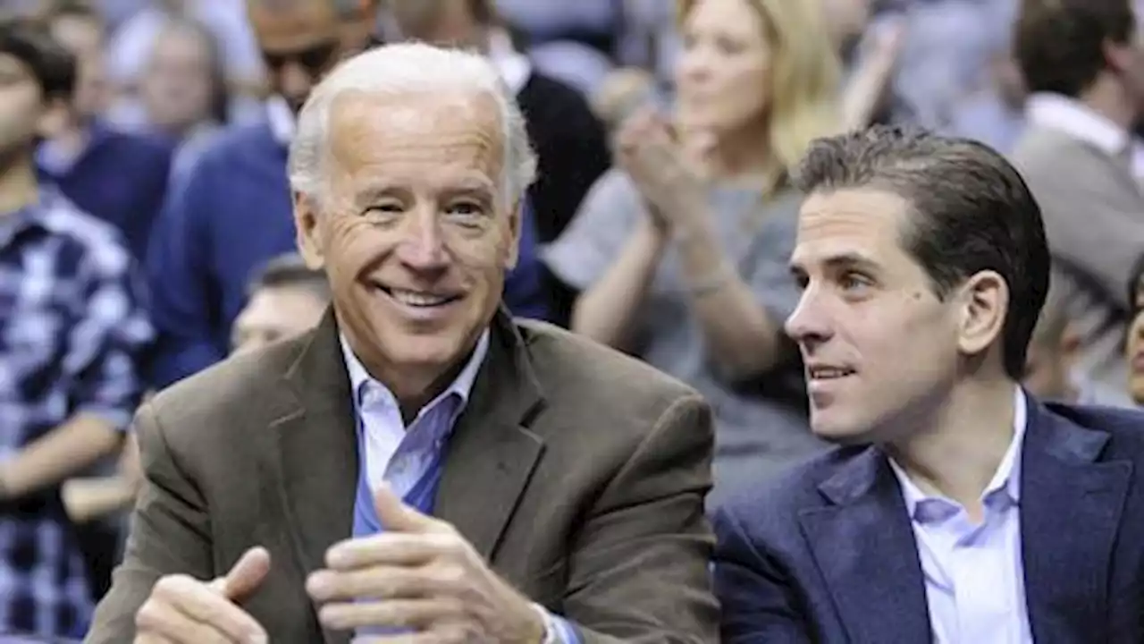 Russia: US president's son Hunter Biden involved in Ukraine biolabs