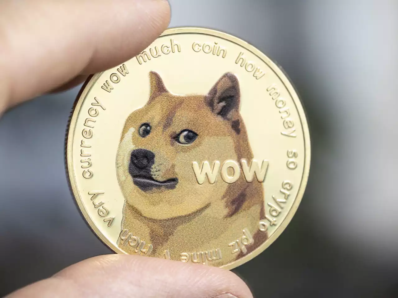 506.2 Million DOGE Shoveled by Robinhood and Anon Whale: Report