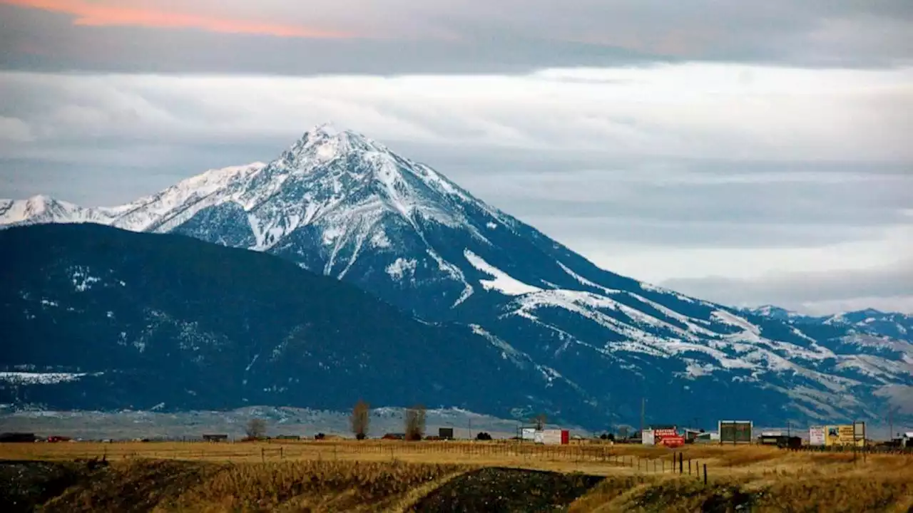 Montana sheriff says hiker killed, grizzly bear suspected