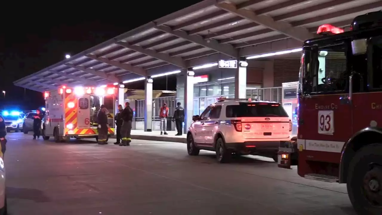 Chicago shooting: Man shot, critically hurt during fight at CTA Red Line station; 1 in custody