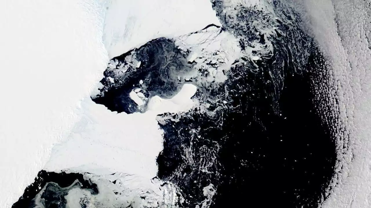 Ice shelf size of NYC collapses in previously stable East Antarctica