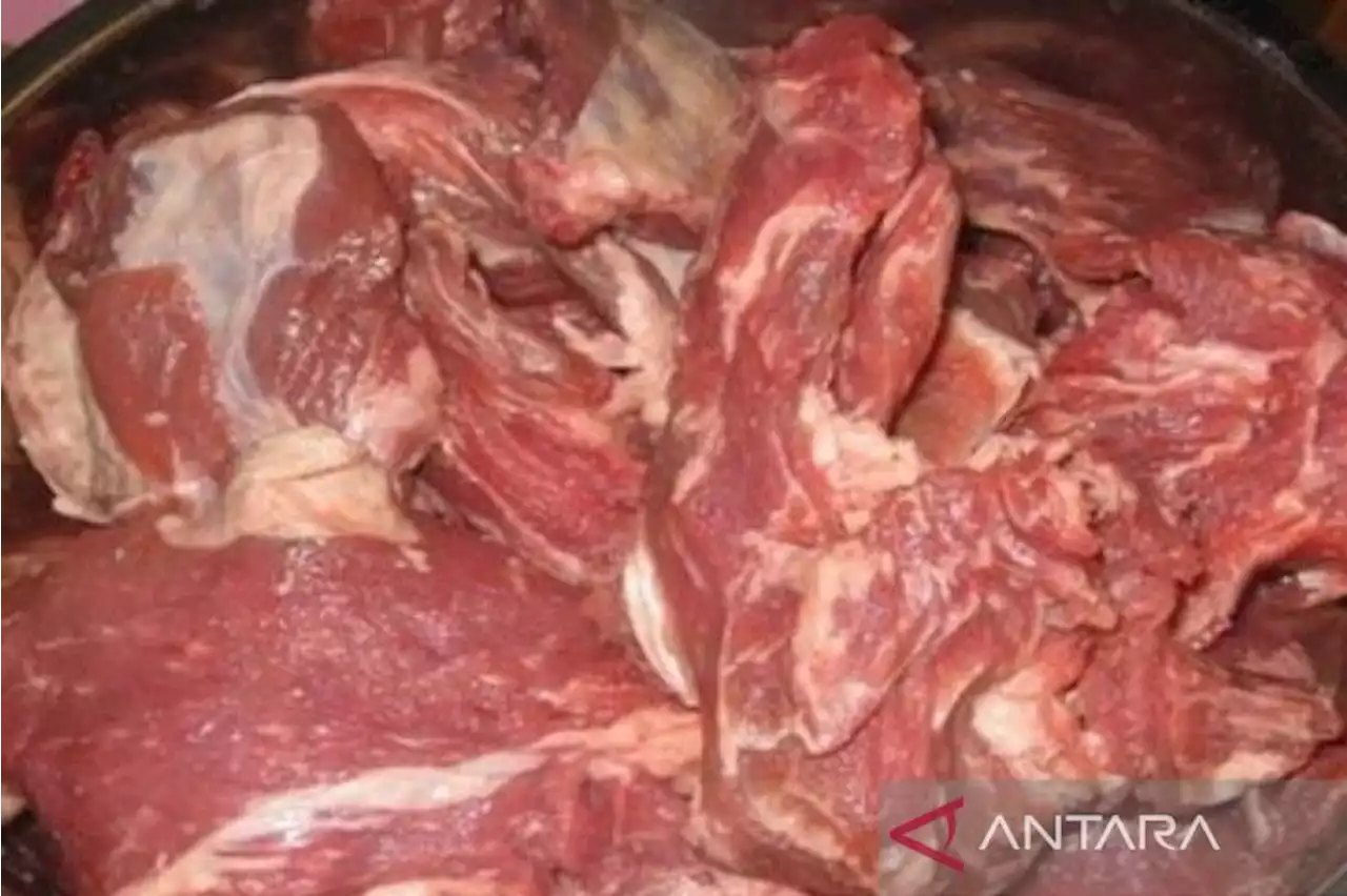 Harga daging sapi di Medan sudah Rp135.000 per kg