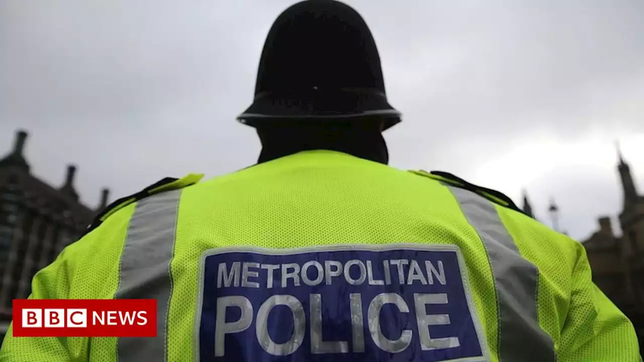 Black man 'not dressed for climate' searched by Met police