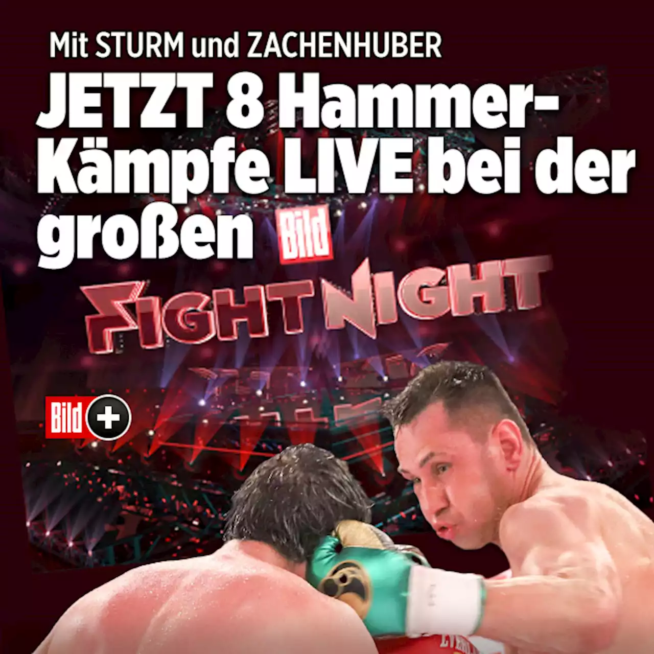 *** BILDplus Inhalt *** Vorkämpfe vor Felix-Sturm-Fight: Deutsche Spitzen-Boxer im Einsatz