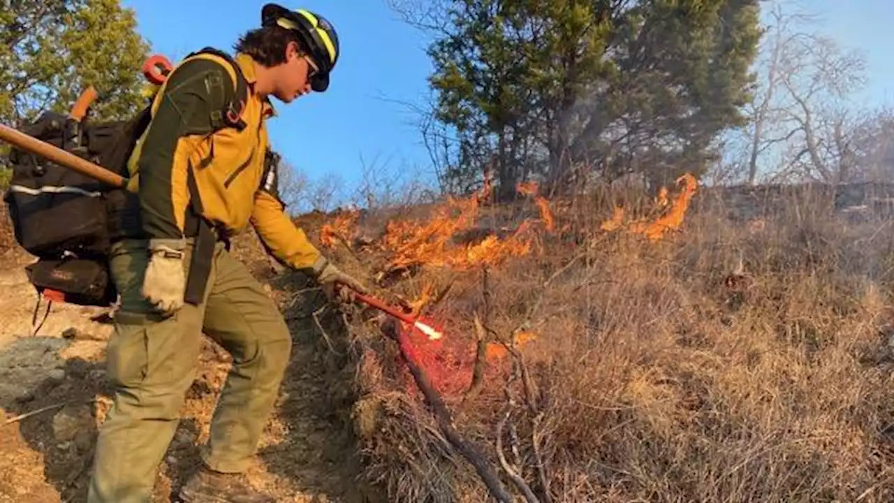 Texas A&M Forest Service: Veal Fire Was Caused By Trailer Chain Sparks