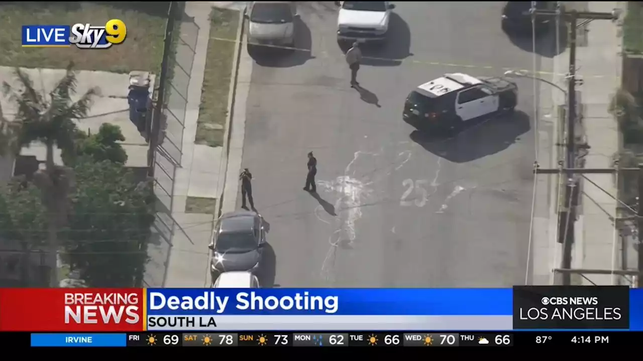 Homicide investigation underway after man fatally shot in South LA