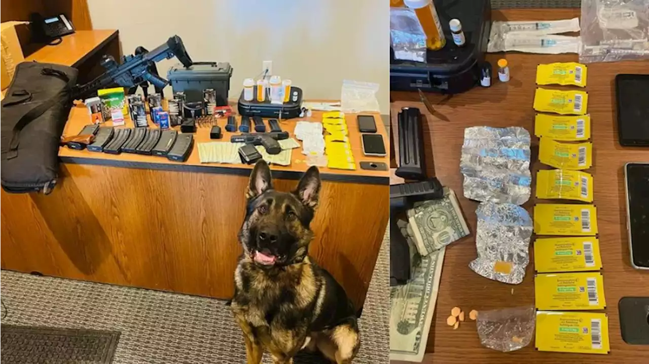 Drugs and loaded guns seized during Ravenna traffic stop with help of K-9, sheriff says