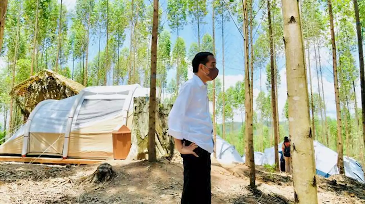 Ada Ancaman Serius Ini di Ibu Kota Baru RI, Jokowi Tahu?