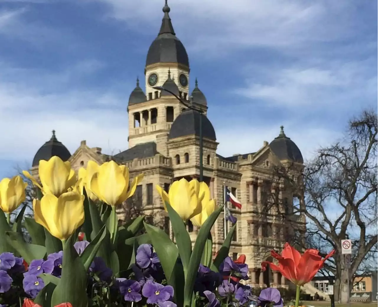 The Cool Parents' Guide to Denton