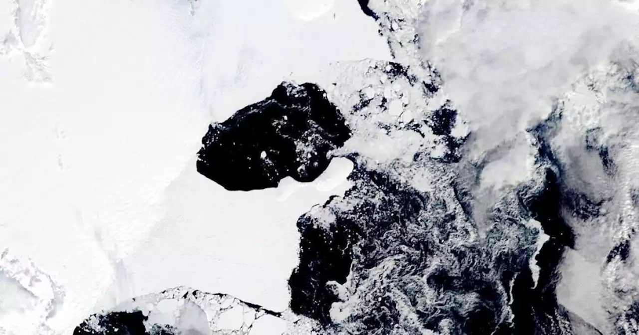 Scientists concerned after ice shelf collapses in colder area of Antarctica