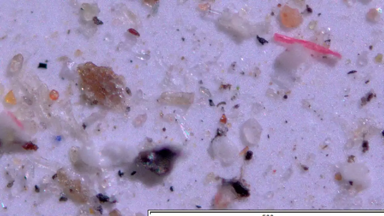 Microplastics have been found in air, water, food and now ... human blood