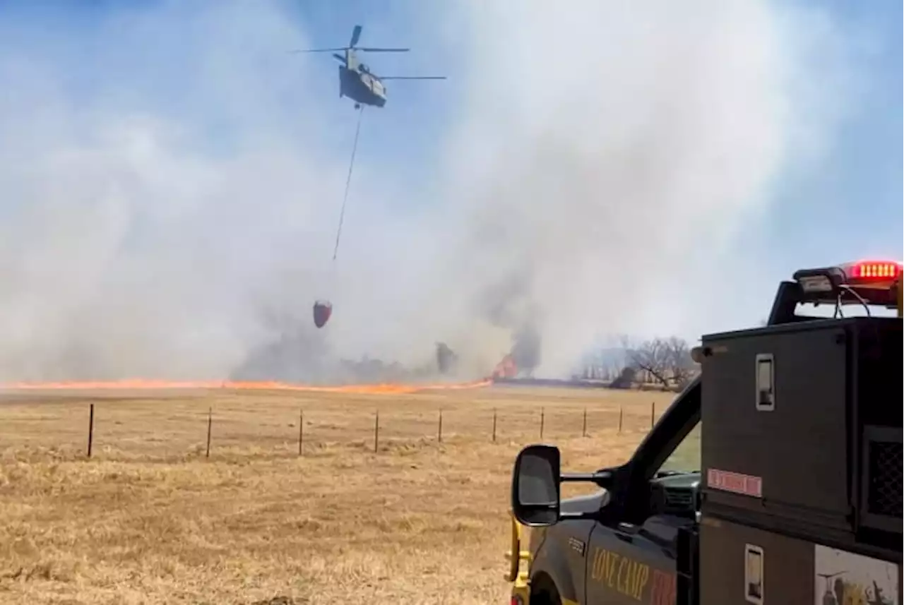 Wildfire risk remains high for much of Texas in the days ahead, fire officials say