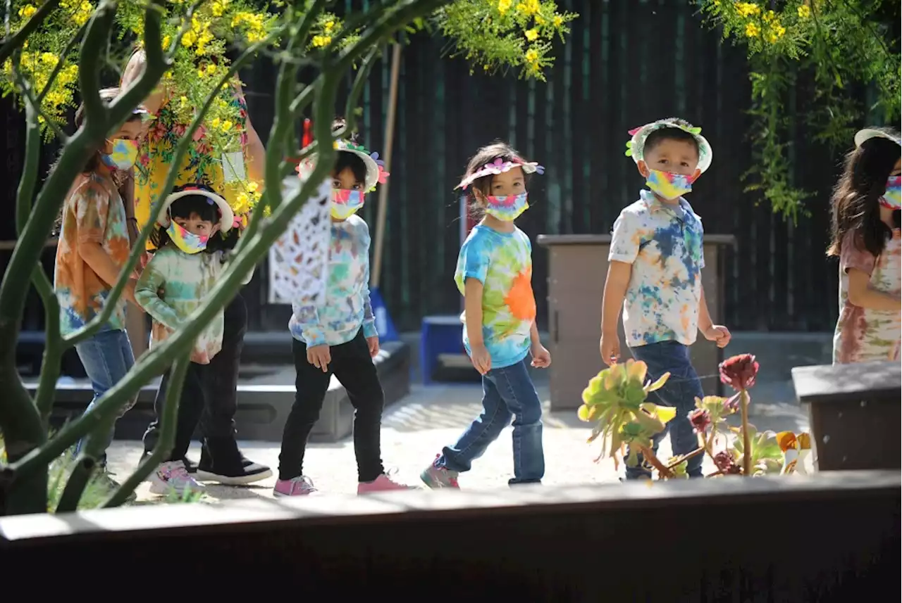 Photos: Pacoima students will be able to move their nature lessons outside