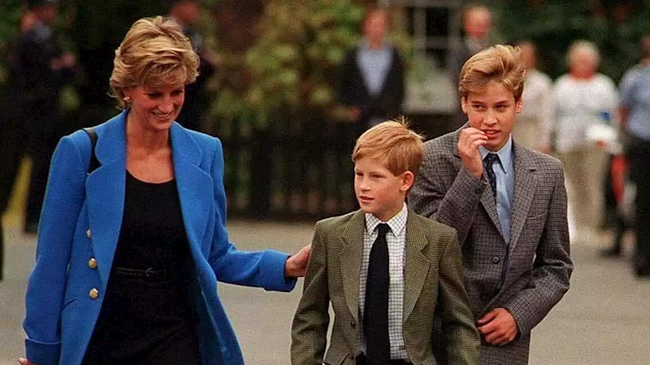 Princess Diana Made Secret Tapes for the Future Brides of Prince William and Prince Harry