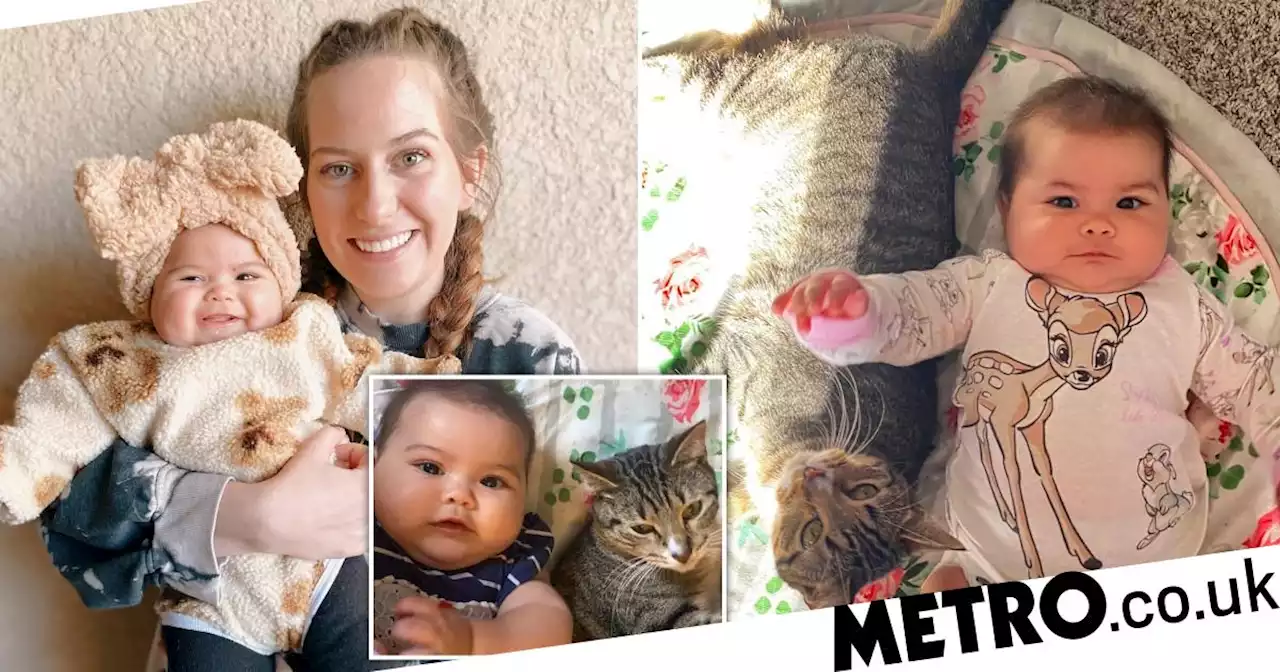 Mum's cat is best mates with her baby: 'He wants to be around her all the time'