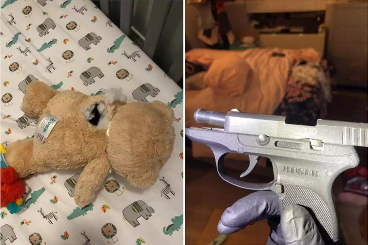 NYC ex-con hid gun in teddy bear after shooting at off-duty cop: prosecutors